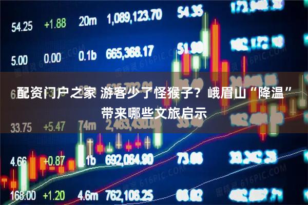 配资门户之家 游客少了怪猴子？峨眉山“降温”带来哪些文旅启示