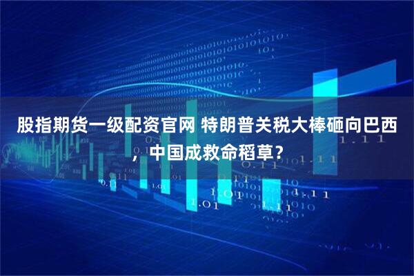 股指期货一级配资官网 特朗普关税大棒砸向巴西，中国成救命稻草？